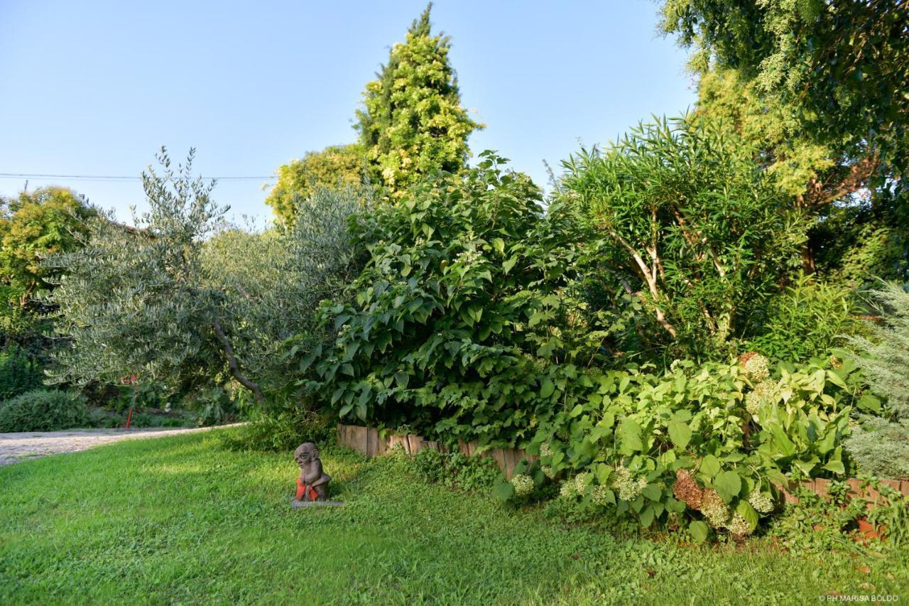 Villa Isidoro Ampio Parco ,Piscina Privata, Arte E Giochi , Fitness Verona Exterior foto